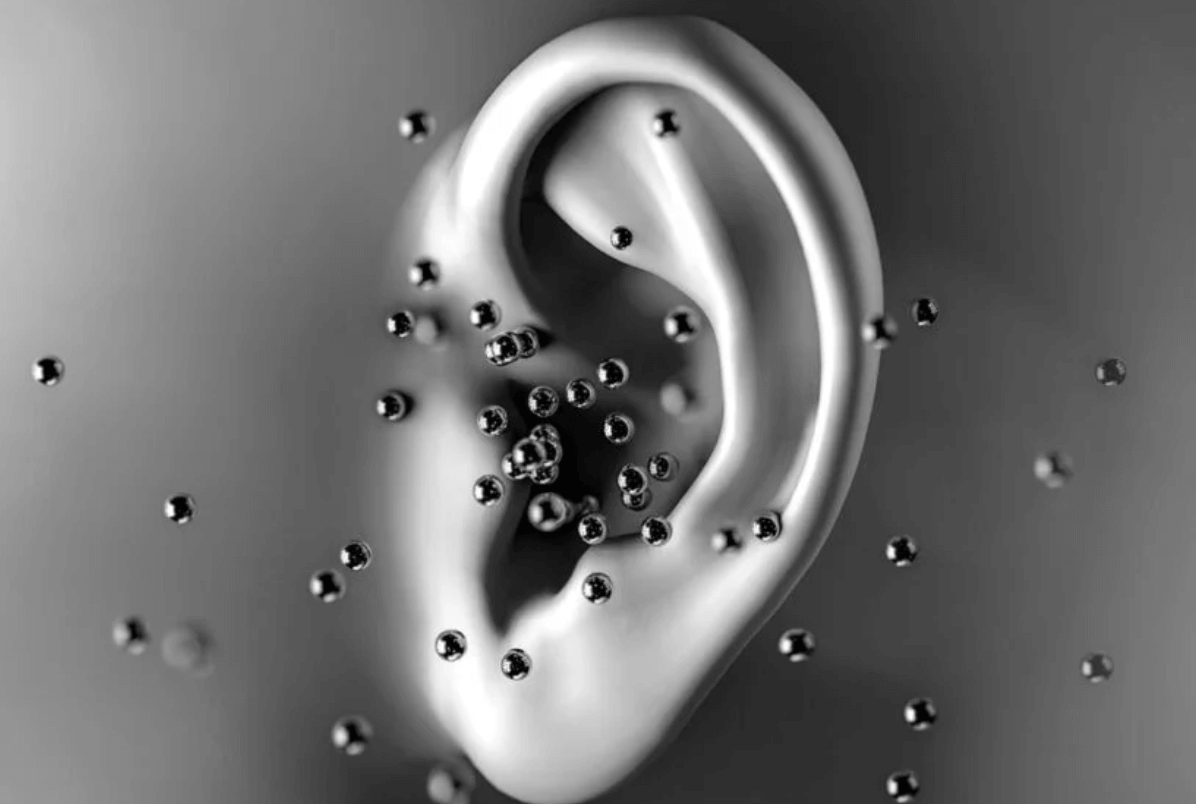 귓속 이명 원인