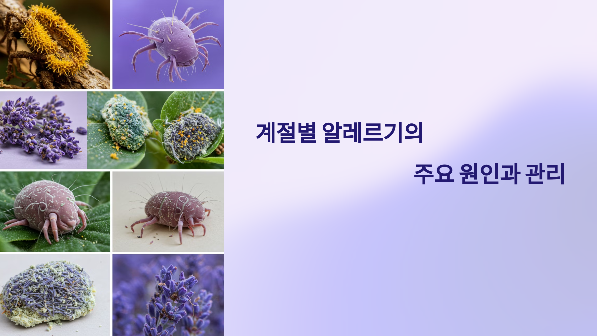 알레르기의 주요 원인과 관리