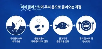 뇌를 잠식하는 미세 플라스틱 보이지 않는 위협_42