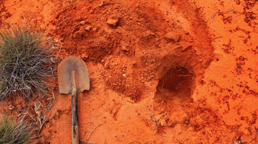 파묘의 의미와 해석