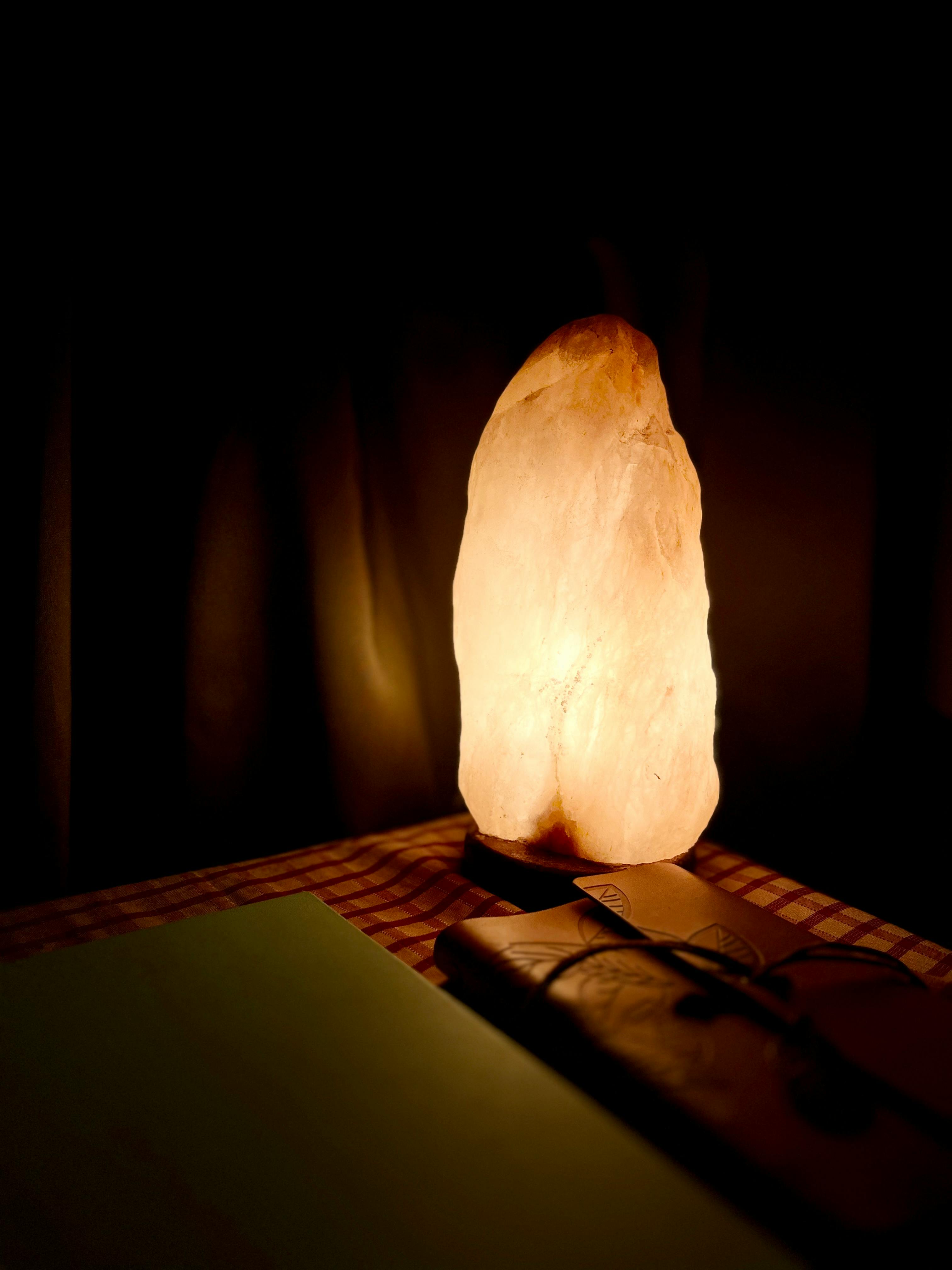 태어난 김에 시즌4