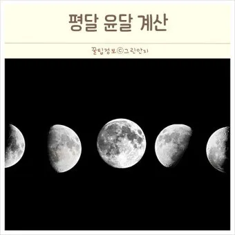 윤달은 몇년마다 오는지 윤년과 차이점 완전 정리_5