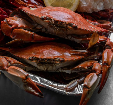 꽃게 찌는 시간 방법