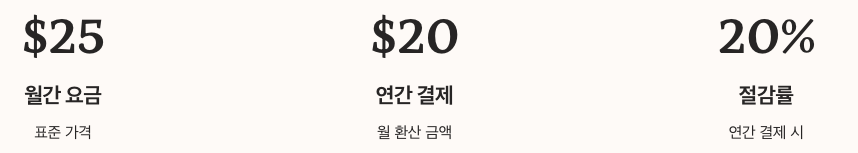 Pro 요금제 가격과 가치 분석 수치 정리