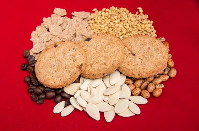 유기농 조경 디자인: 자연 친화적인 정원 꾸미기