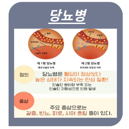 당뇨병 유형