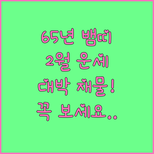 1965년생 뱀띠 2월 운세 핵심 정..