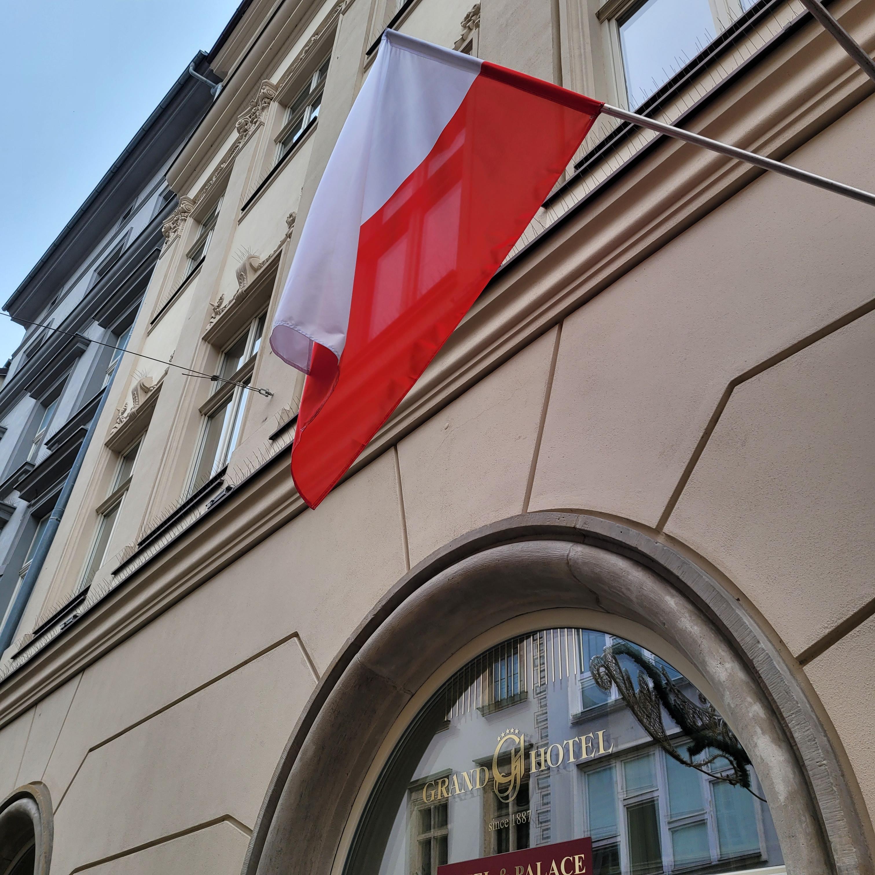 폴란드와 독일대학