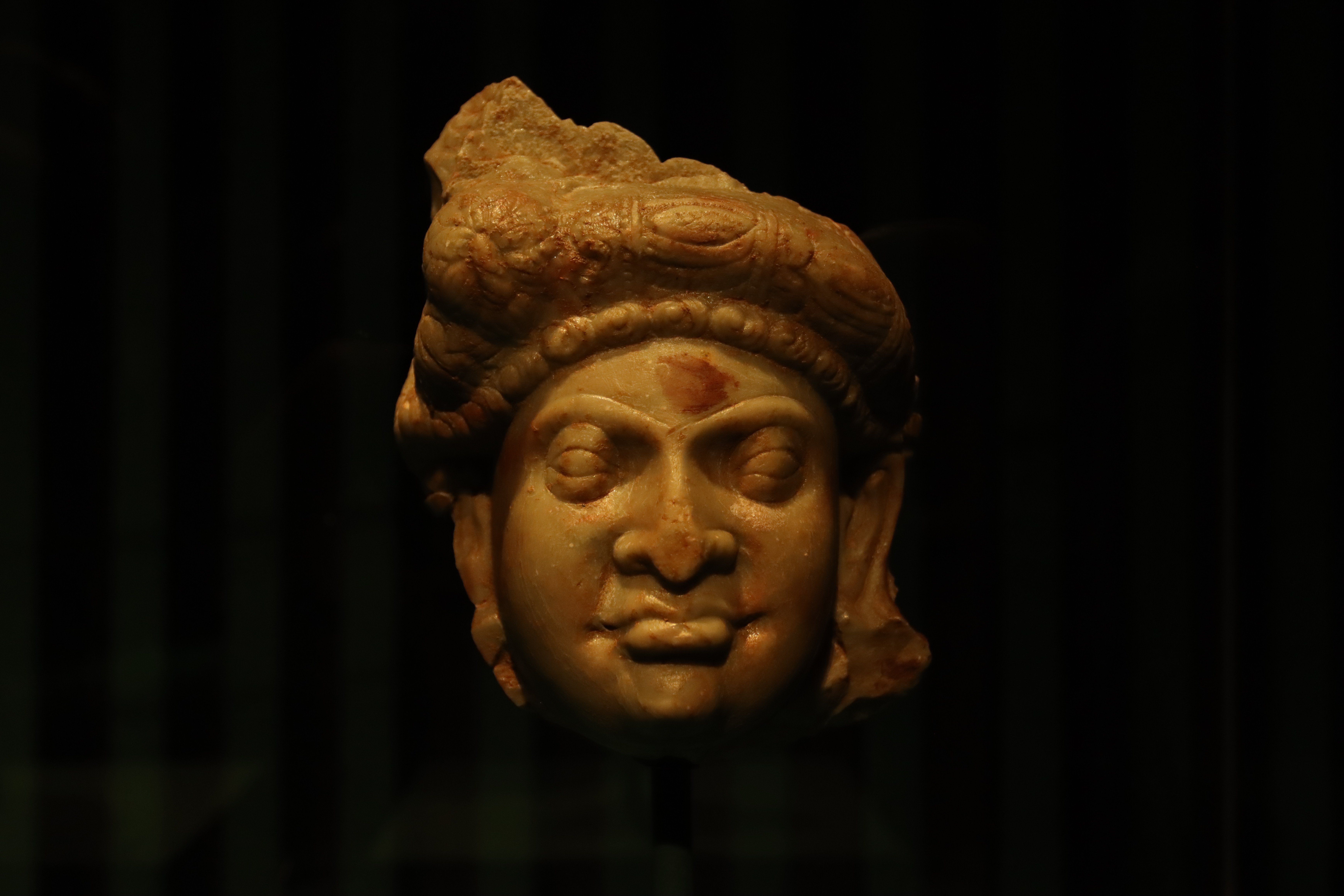 스투파의 숲