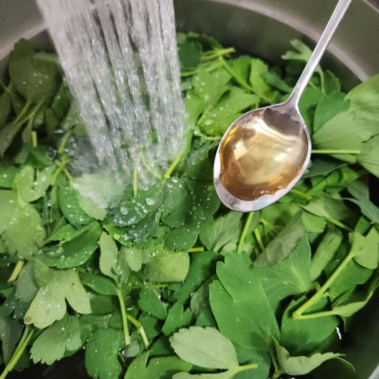 방풍나물 무침 방풍나물 효능 방풍나물 장아찌 방풍나물 겉절이 방풍나물 제철 방풍나물전 방풍나물 쌈 방풍나물뿌리 방풍나물모종 방풍나물씨앗 방풍나물재배 방풍나물키우기 방풍나물 맛 방풍나물 손질 방풍나물 부작용 세발나물 봄나물 비름나물 방풍 방풀나물 방풍나물요리 방풍나물 데치기 방풍나물 요리법 방풍나물 재배법 방풍나물 장아찌 만드는법 방풍나물 생으로 먹어도 되나요 방풍나물 나오는 시기 방풍나물 뿌리주 방풍나물 꽃 방풍나물 뿌리의 효능 방풍나물 씨앗 방풍나물 사진 방풍나물 국 방풍나물효능