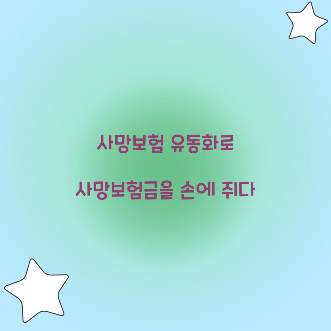 사망보험 유동화