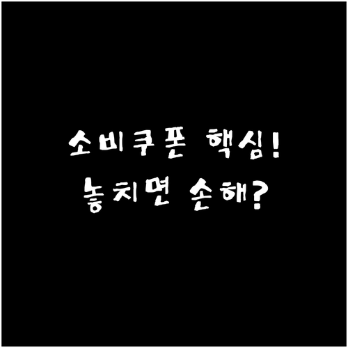 정부의 민생 회복 정책, 소비쿠폰과 ..