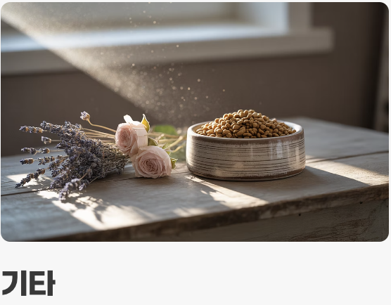 적의 보급 기지를 찾아라! (발생 원인)