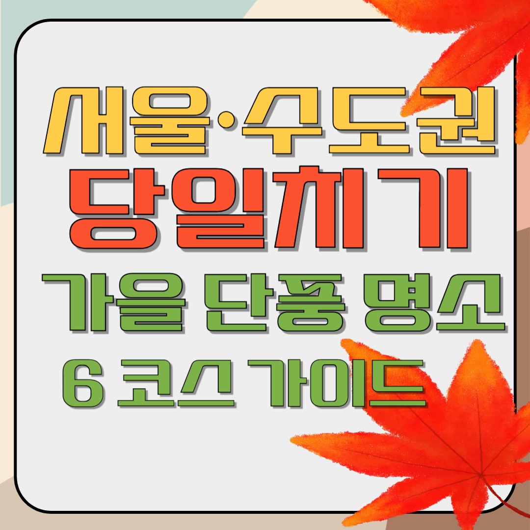 서울·수도권 당일치기 가을 단풍 명소 6 코스 가이드
