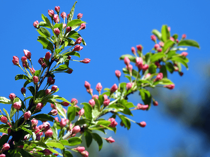 2025년 한라산 등반 예약제 완화! 진달래밭&middot;삼각봉 자유 입산 가능