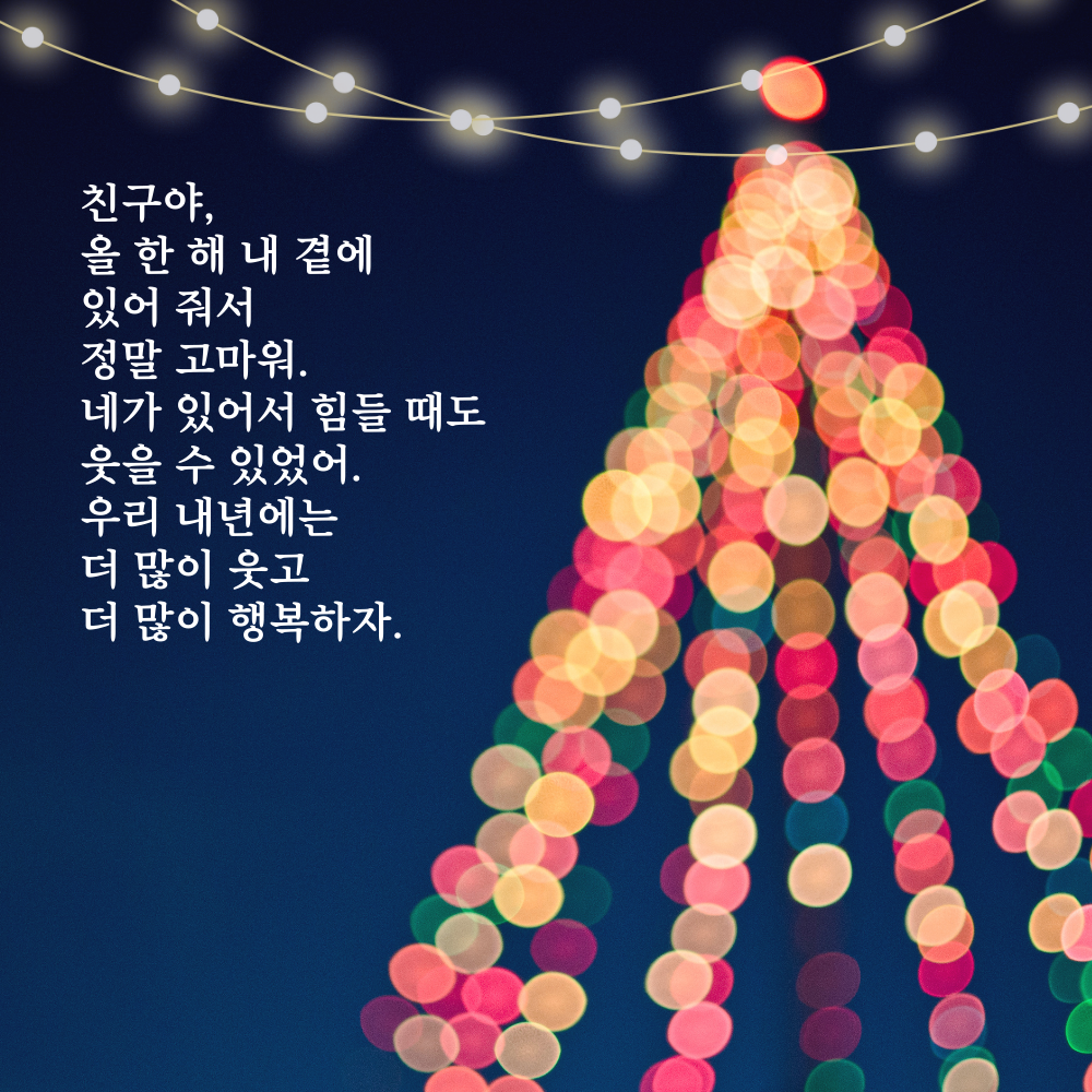 2025년 12월 인사말 문구 이미지 모음집