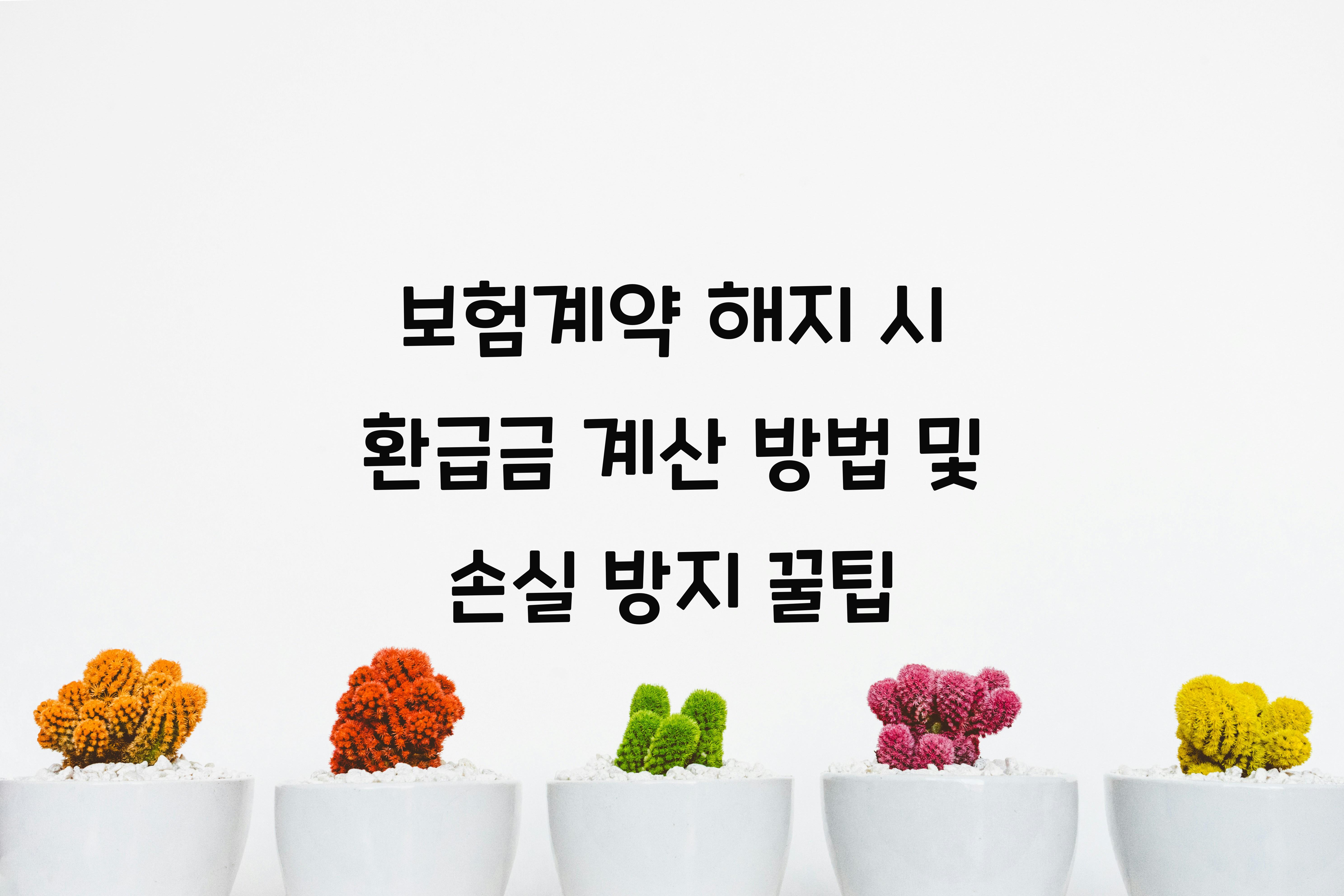 보험계약 해지 시 환급금 계산