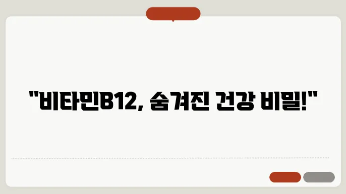 비타민B12가 많은 음식