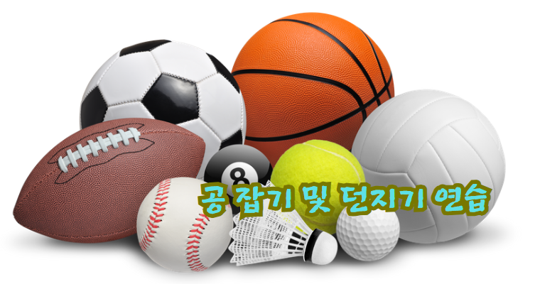 공 잡기 및 던지기 연습
