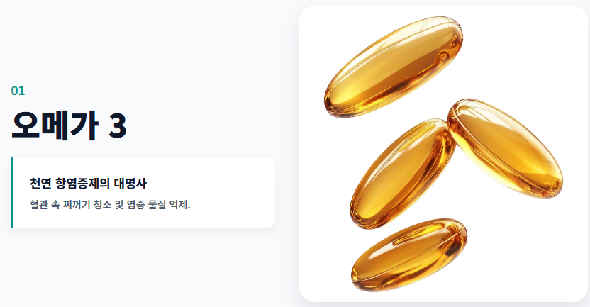 염증에 좋은 영양제
