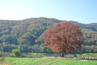 화천 가볼만한곳 베스트10 현지인 추천 필수코스_18