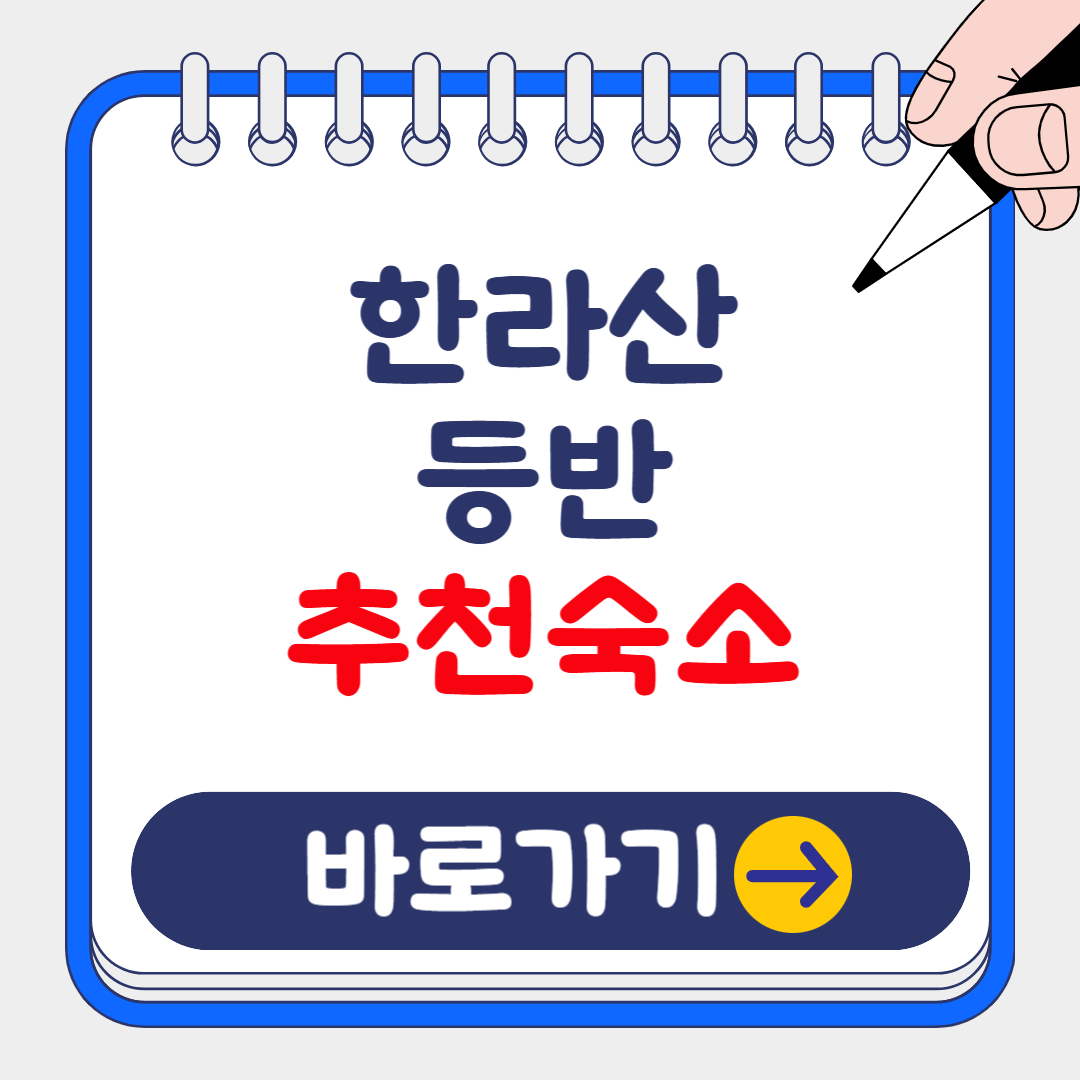 2025 한라산 등반 근처 픽업 숙소 추천 TOP5 완벽가이드!(한라산 탐방예약,새해일출)