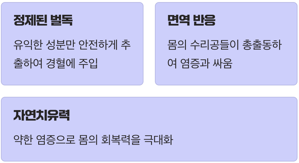 벌의 선물이 우리 몸을 치료하는 원리