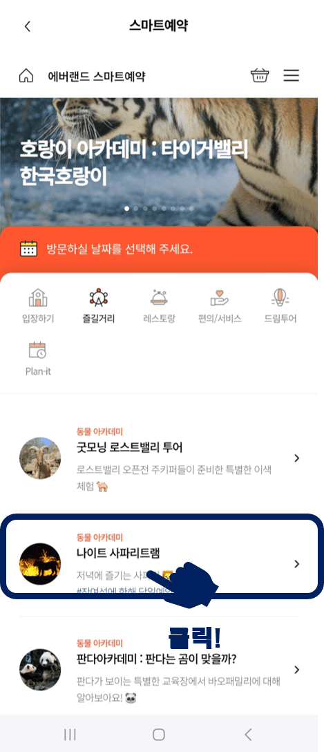 세 번째, 에버랜드 나이트 사파리 모바일 예약 방법