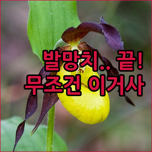 층간소음 실내화 추천 TOP 5 발망..