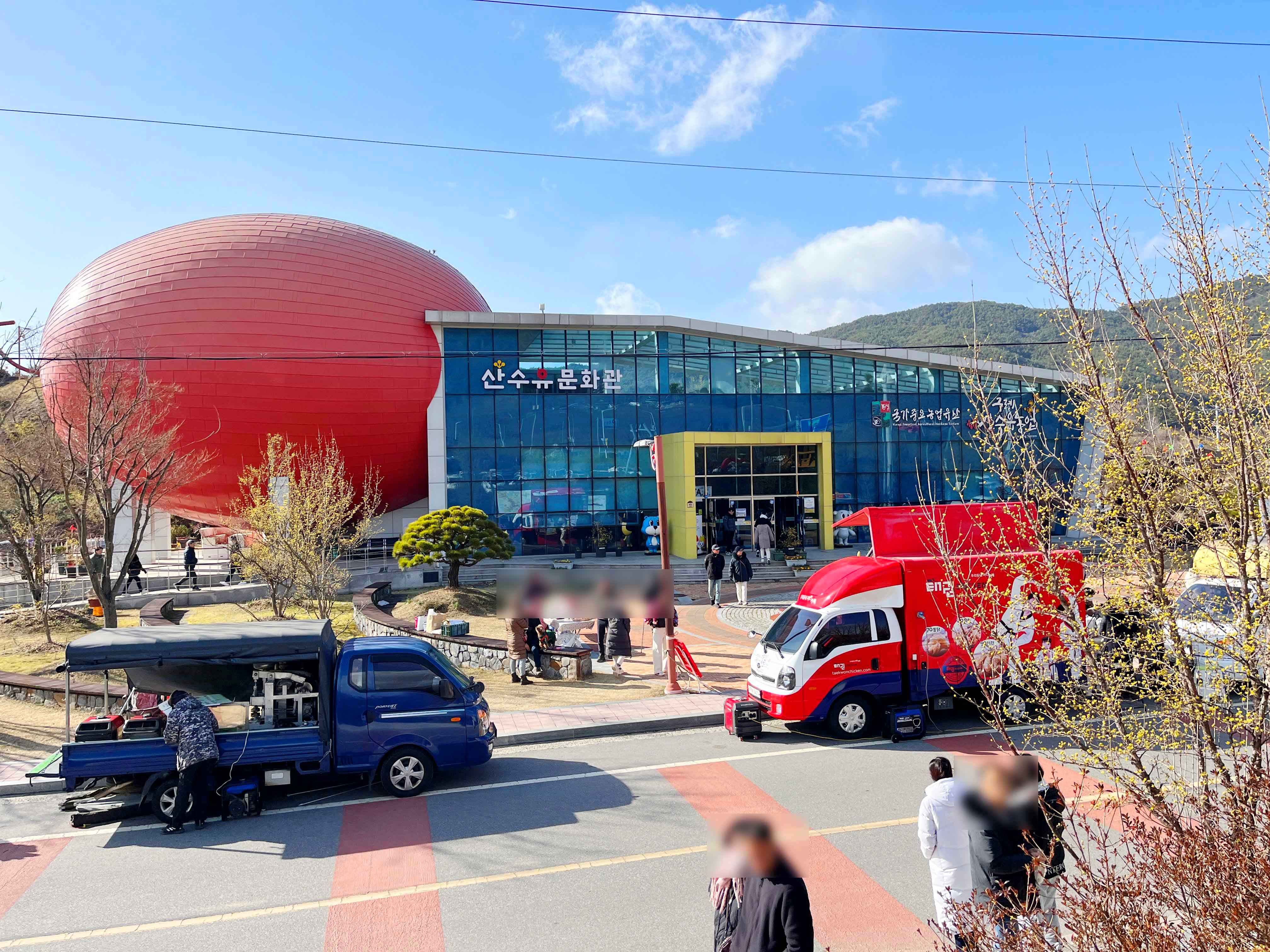구례 산수유꽃축제