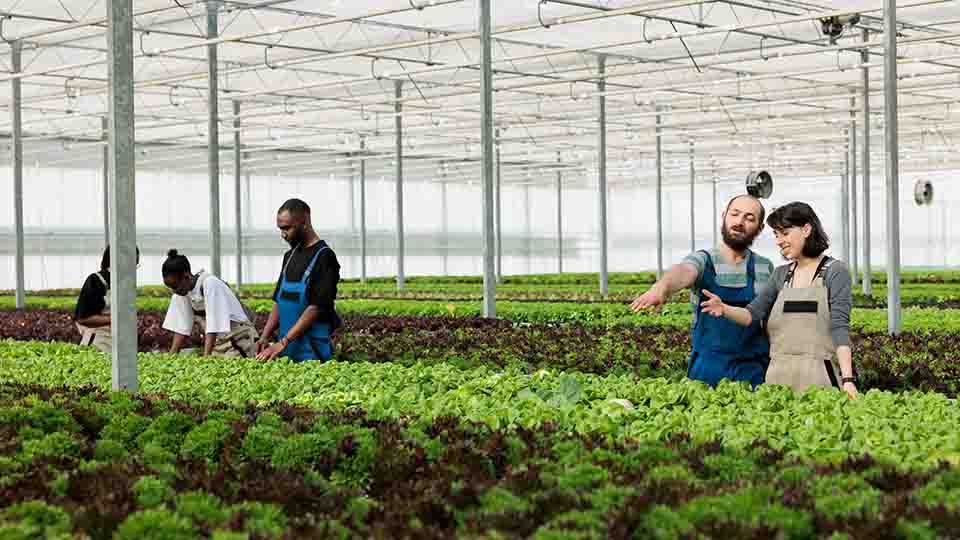 스마트팜이란 무엇인가?: 기술과 농업의 융합 구조