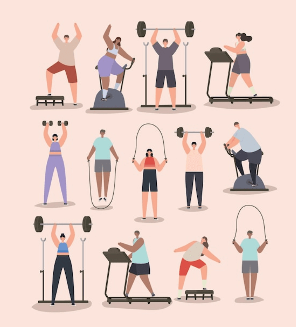 고양이 비만 예방을 위한 다이어트 운동법 정리