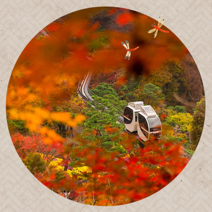 당일치기/가을여행/화담숲/100%/예약제/10월/성수기/이용방법/총정리