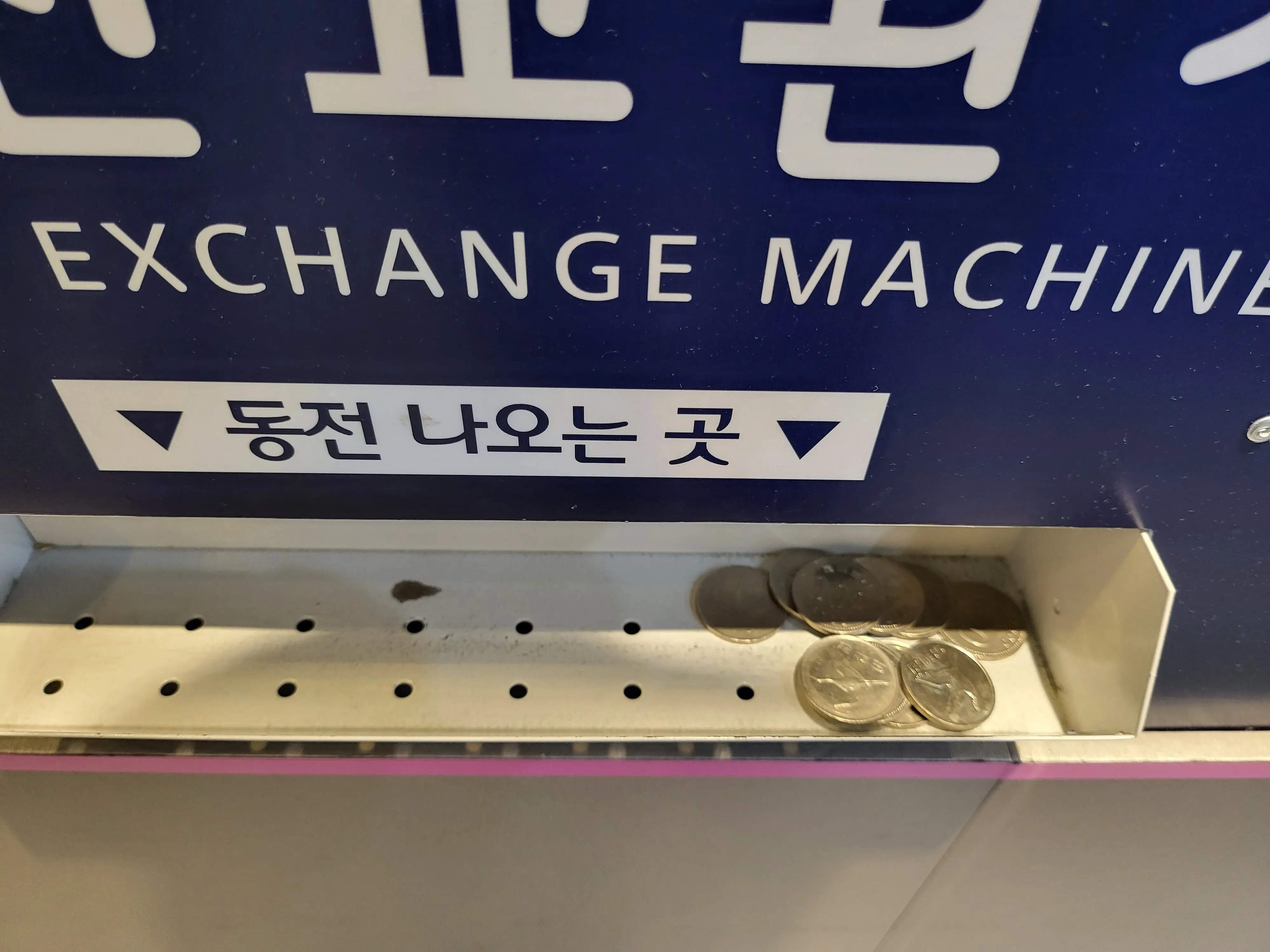 동전