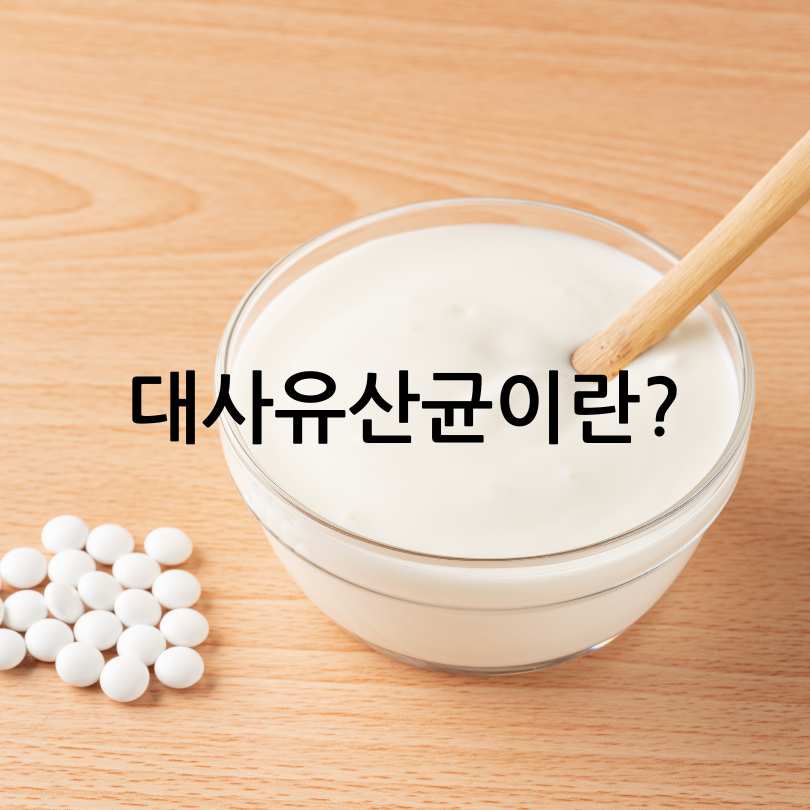 대사유산균 효능과 제품 추천