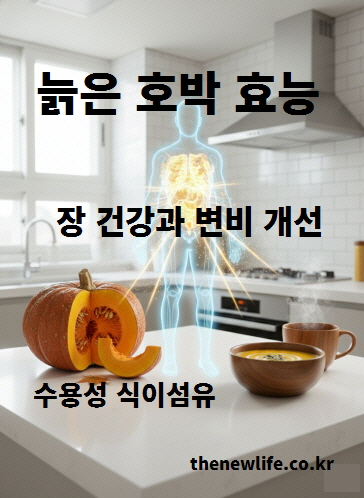 늙은 호박 효능 중 수용성 식이섬유가 장 건강과 변비 개선에 도움을 주는 모습을 표현한 이미지