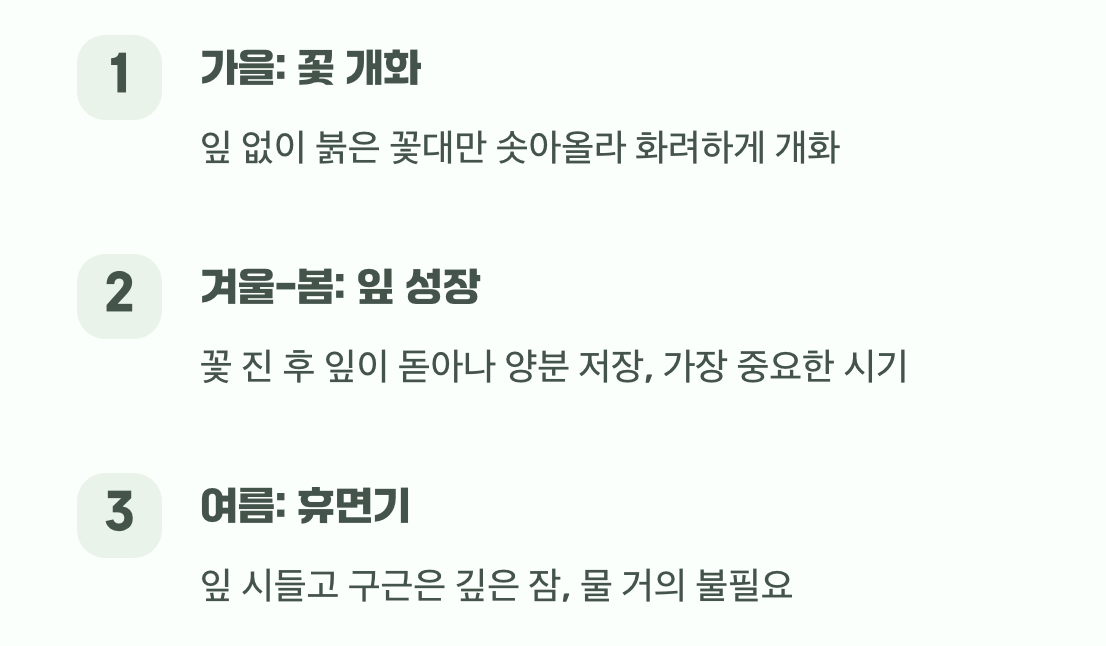 엇갈린 운명&amp;#44; 잎과 꽃의 비밀