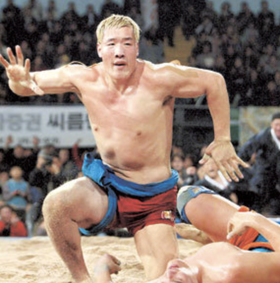 최홍만 씨름 전적