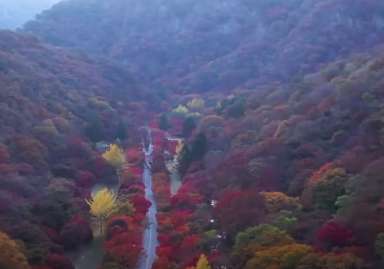 내장산