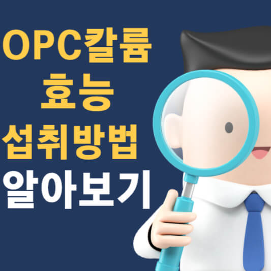 OPC칼륨 효능