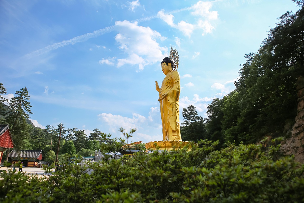 충북 보은의 조용한 힐링코스 관련 사진