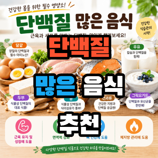 단백질 많은 음식 추천