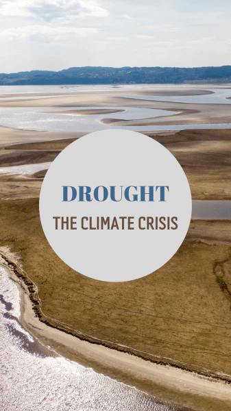 극한의-기상-현상으로-인해-농작물이-파괴되고-있다-지구온난화-포스트