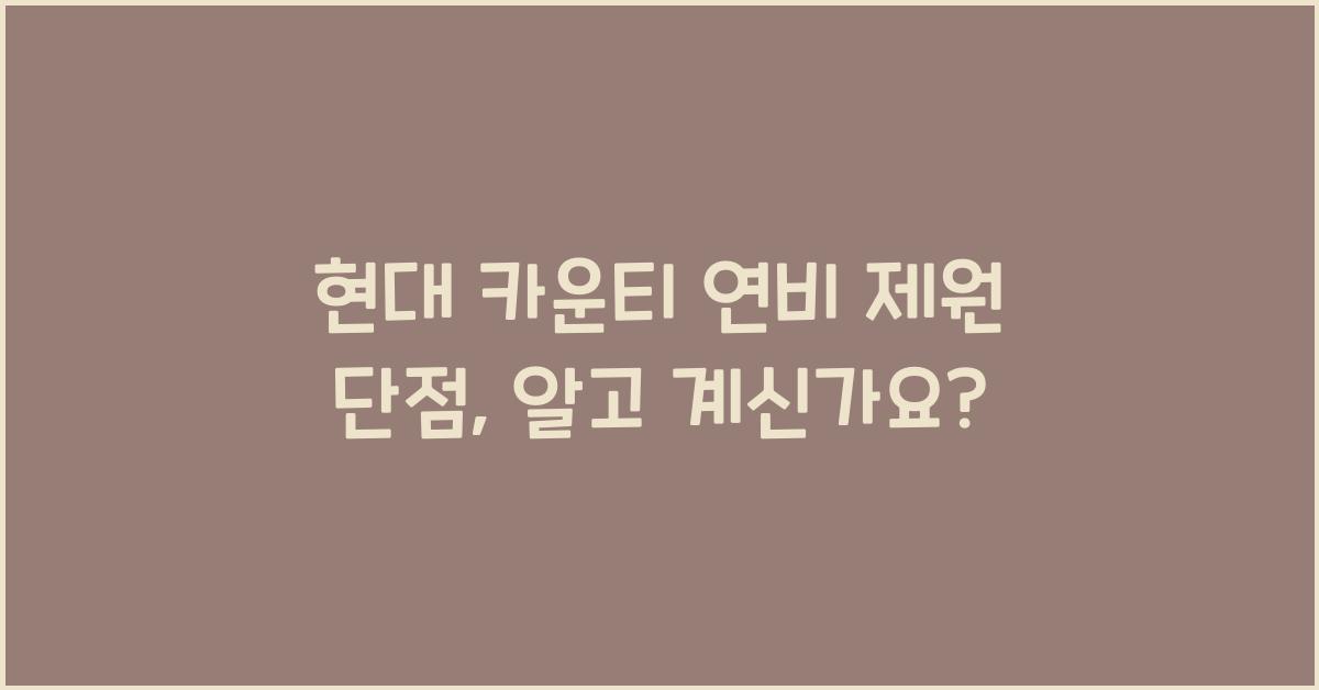 현대 카운티 연비 제원 단점