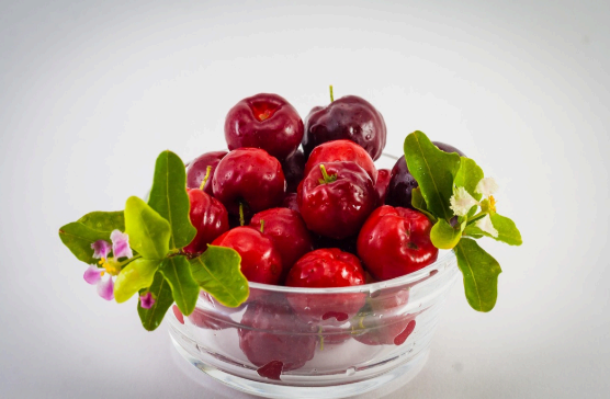 호흡기 건강을 위한 요가와 비타민 C의 면역 기능 강화