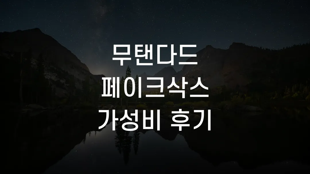 무탠다드 페이크삭스 가성비 후기