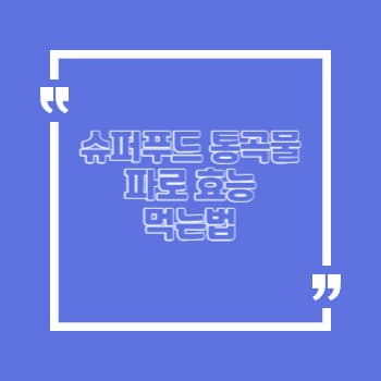 슈퍼푸드 곡물 파로 Farro 효능 먹는법