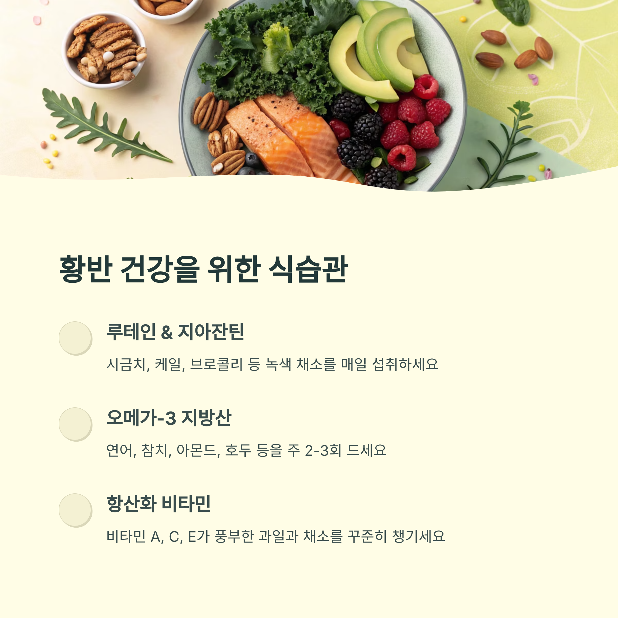 근시성 황반변성 관리법5