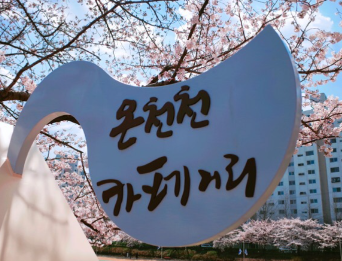 2025 벚꽃 개화시기 부산 온천천 벚꽃 축제 카페거리