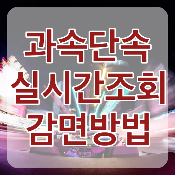 주변 흰색 보라색 노란색 현란한 네온들 사이를 빠르르게 달리는 자동차 위 흰테두리 빨간글씨 과속단속 실시간조회 감면방법